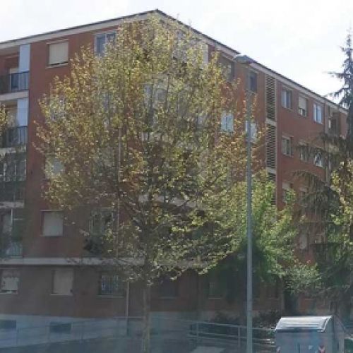 Pisos en bloque residencial arbolado